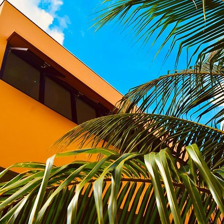 Bohemi Design Villa'S Dorp Sint Michiel Exterior foto